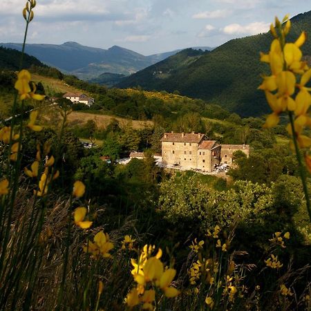 Country House Villa La Farfalla 피에트라루냐 외부 사진